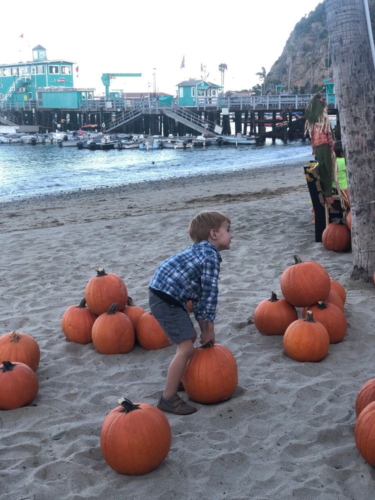 pumpkins on the beach